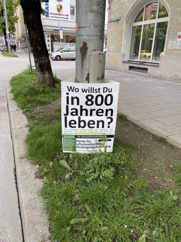 Verj&uuml;ngung