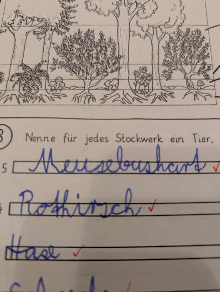 M&auml;usebus hart