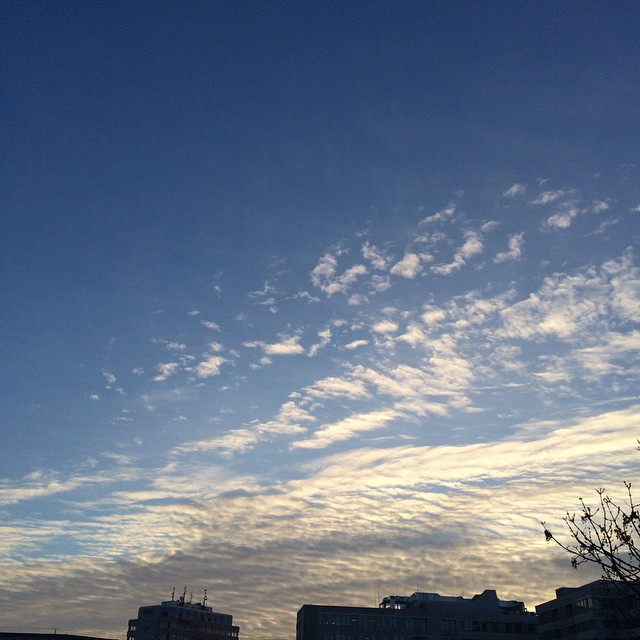Moin M&uuml;nchen