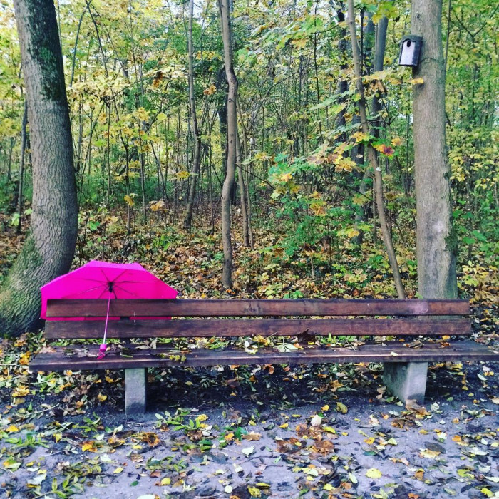Moin M&uuml;nchen