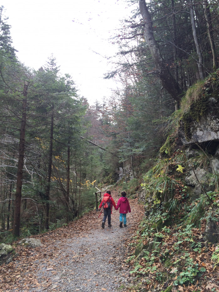 &Uuml;ber die Duftbr&auml;u Wasserf&auml;lle zu den Daffnerwald-Almen