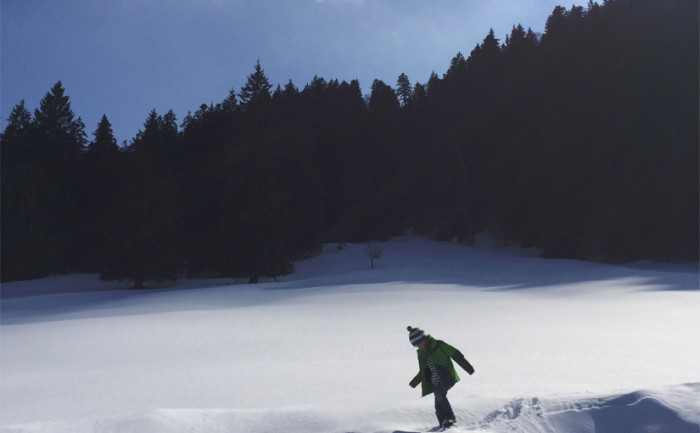 Von Wildbad-Kreuth zur Schwarztennalm