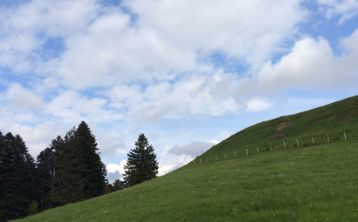 Kleine Rundwanderung am Ravensburger Haus in Steibis
