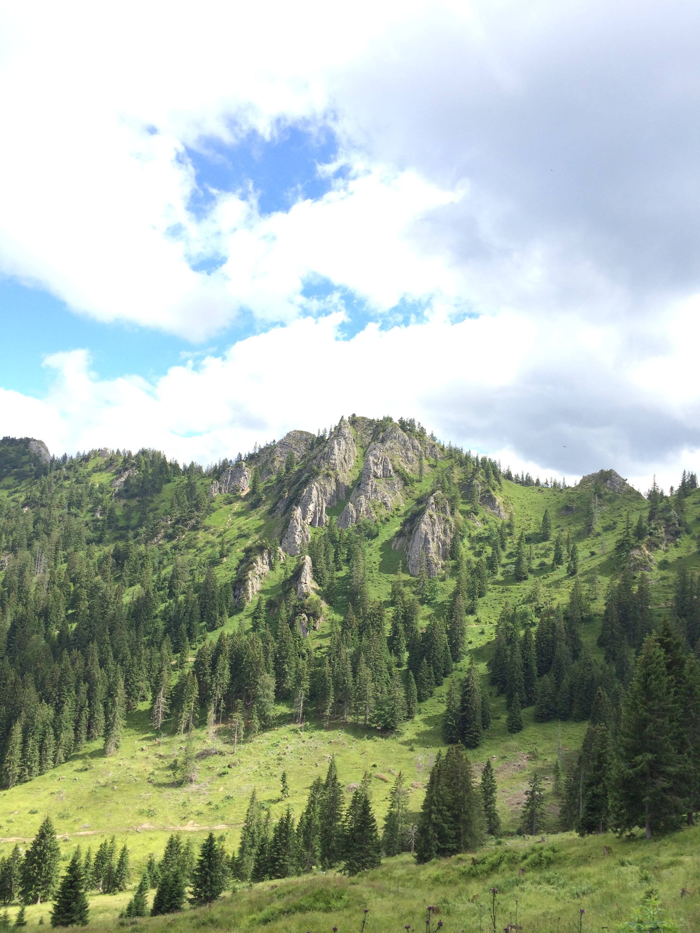 &Uuml;ber den P&uuml;rschling zum August-Schuster-Haus