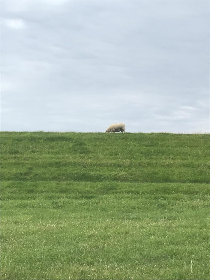 Tag 1: Auf dem Nordseeradweg