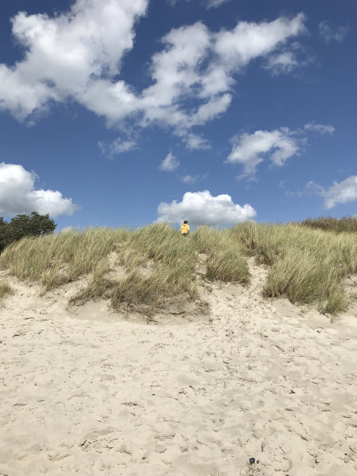 Tag 10: Auf dem Nordseeradweg