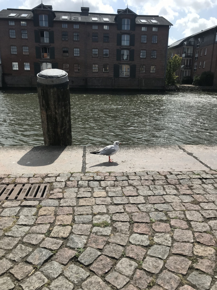 Tag 7: Auf dem Nordseeradweg