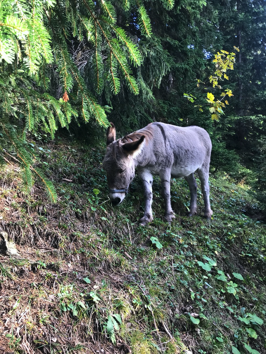 Wie heißt der Bürgermeister von Wesel ...?