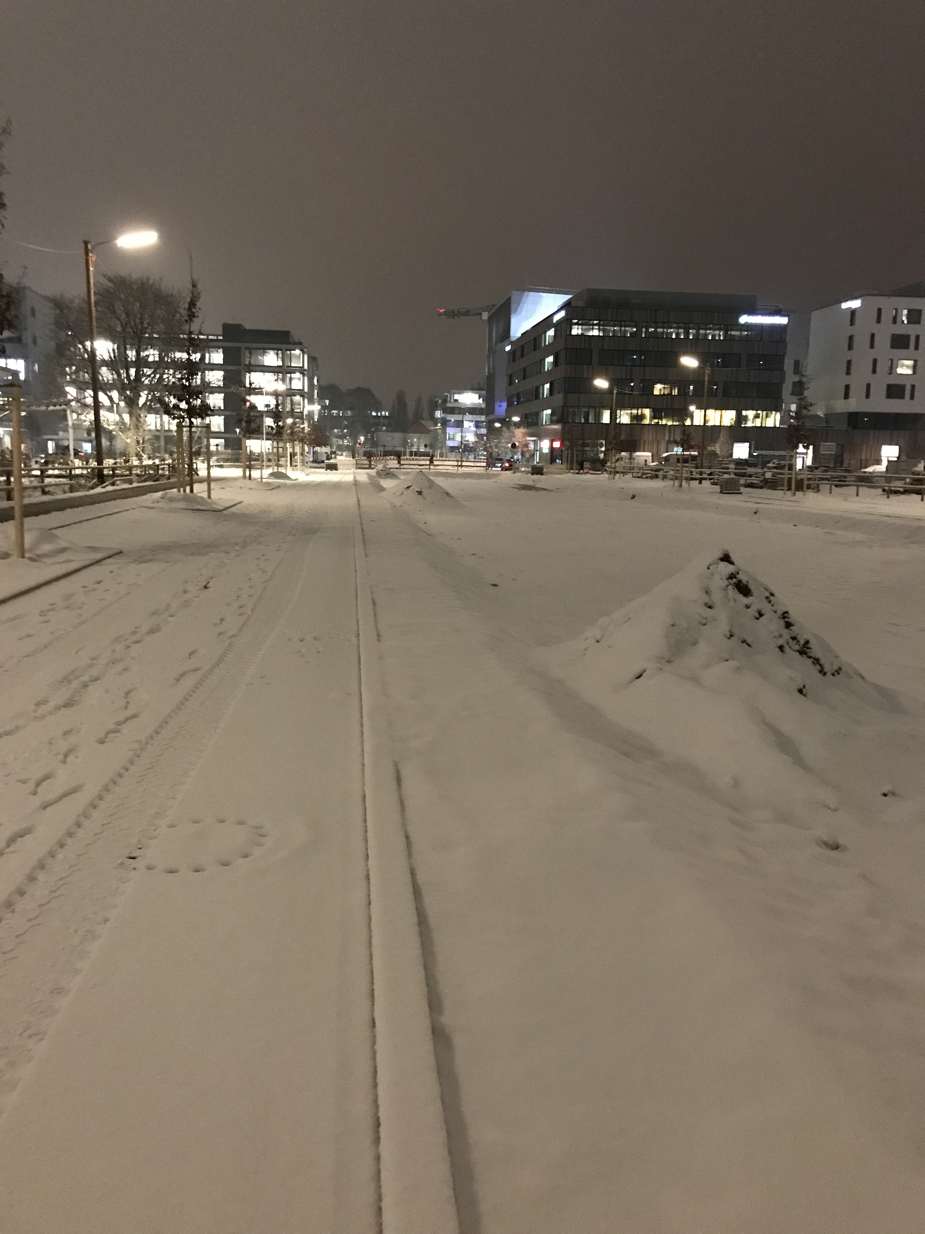 15.12.2022 - Minutenmarathonstreak 33