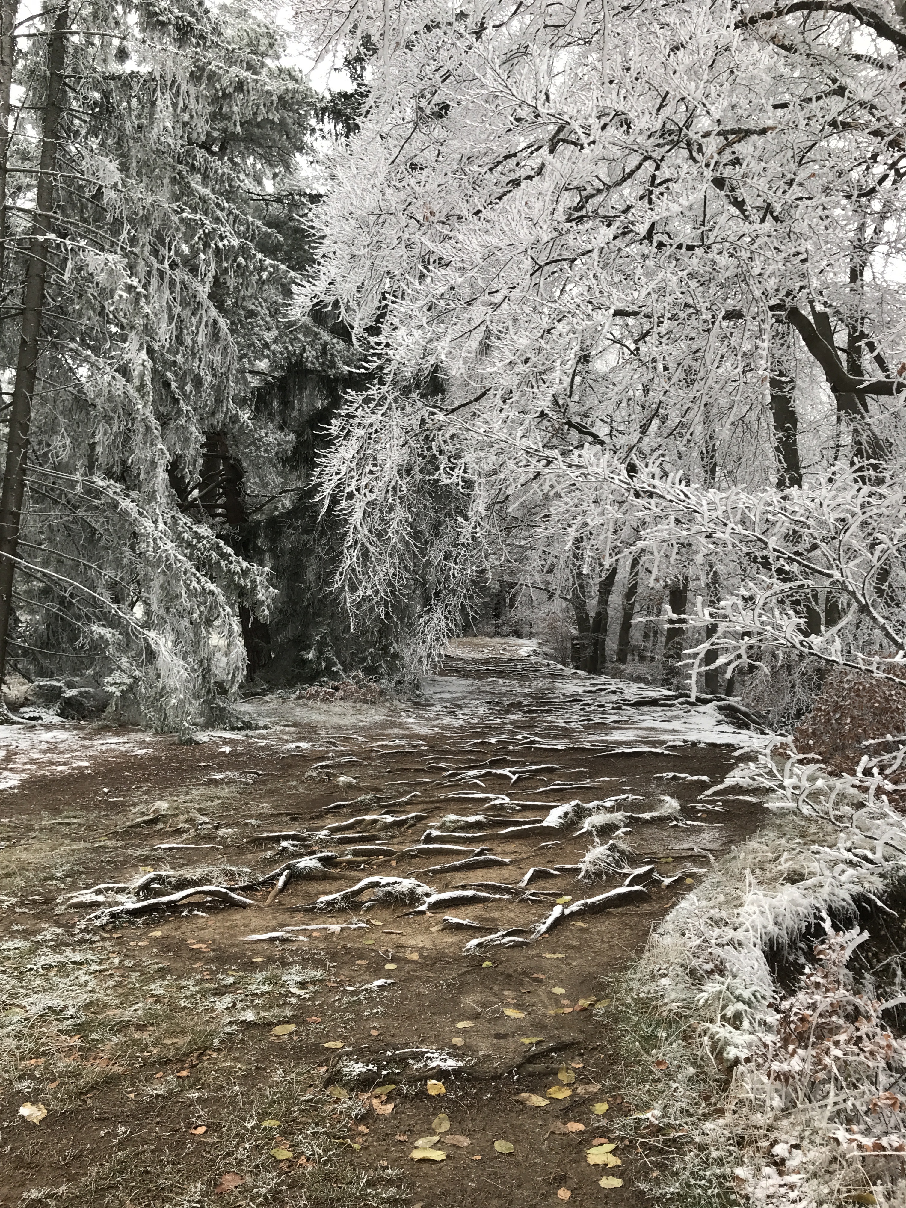 4.12.2022 - Minutenmarathonstreak 22