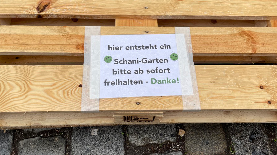 Sag niemals Schani
