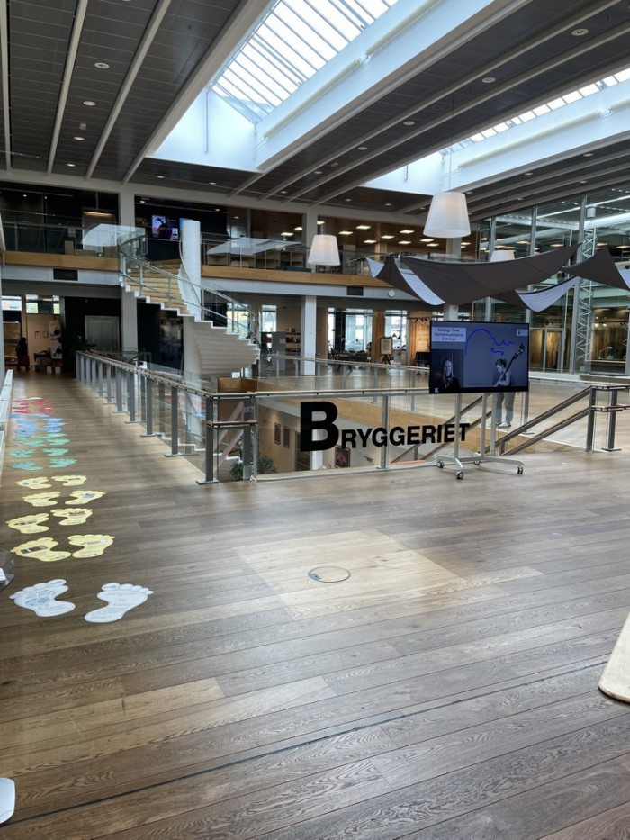 Bibliothek Kolding - B&uuml;cher haben sie auch