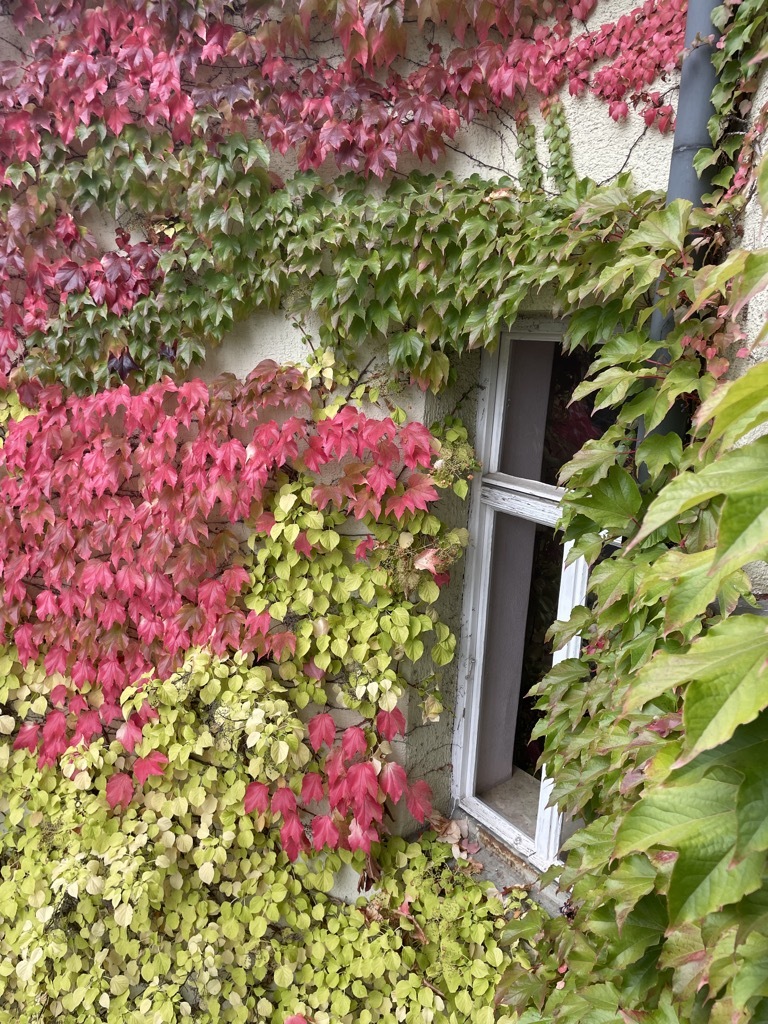 Herbst und Gef&uuml;hle