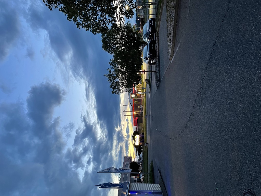 Ameisen im Handgep&auml;ck