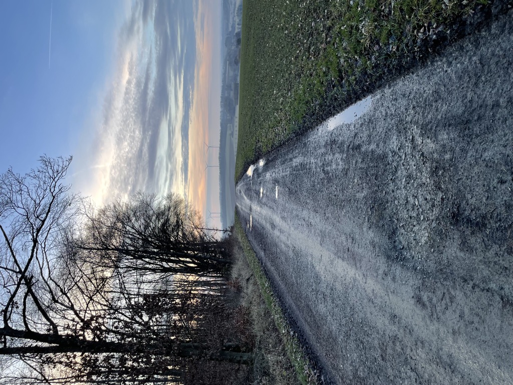 Wind, Tiere und Musik