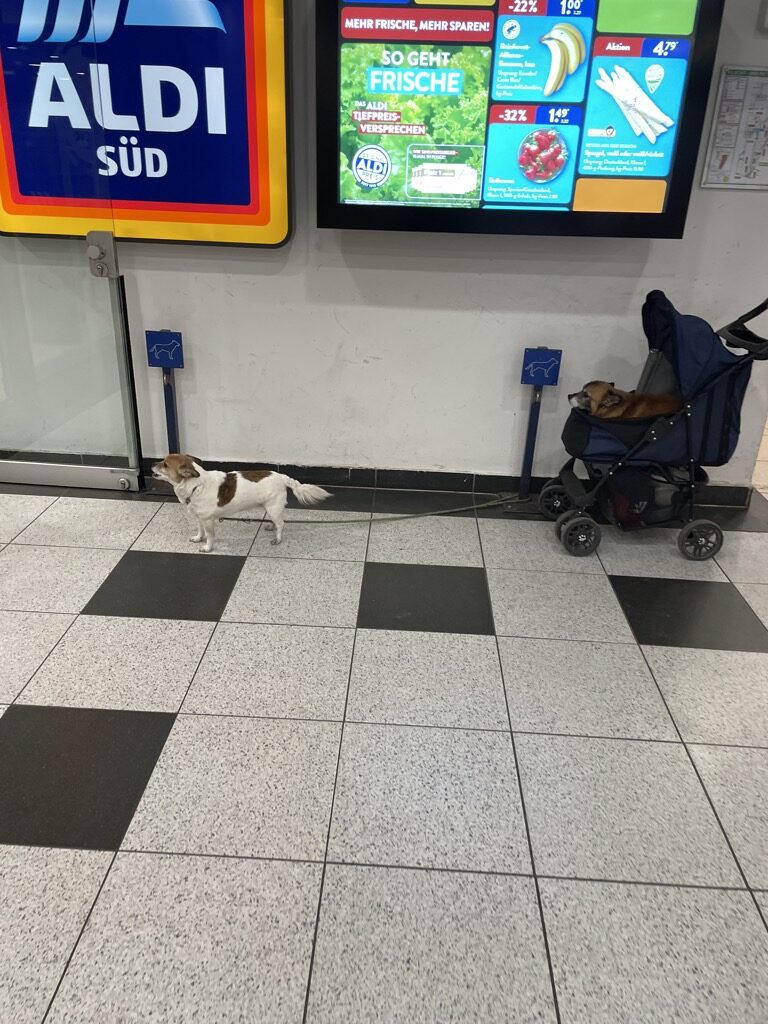 IMG_0592.jpeg