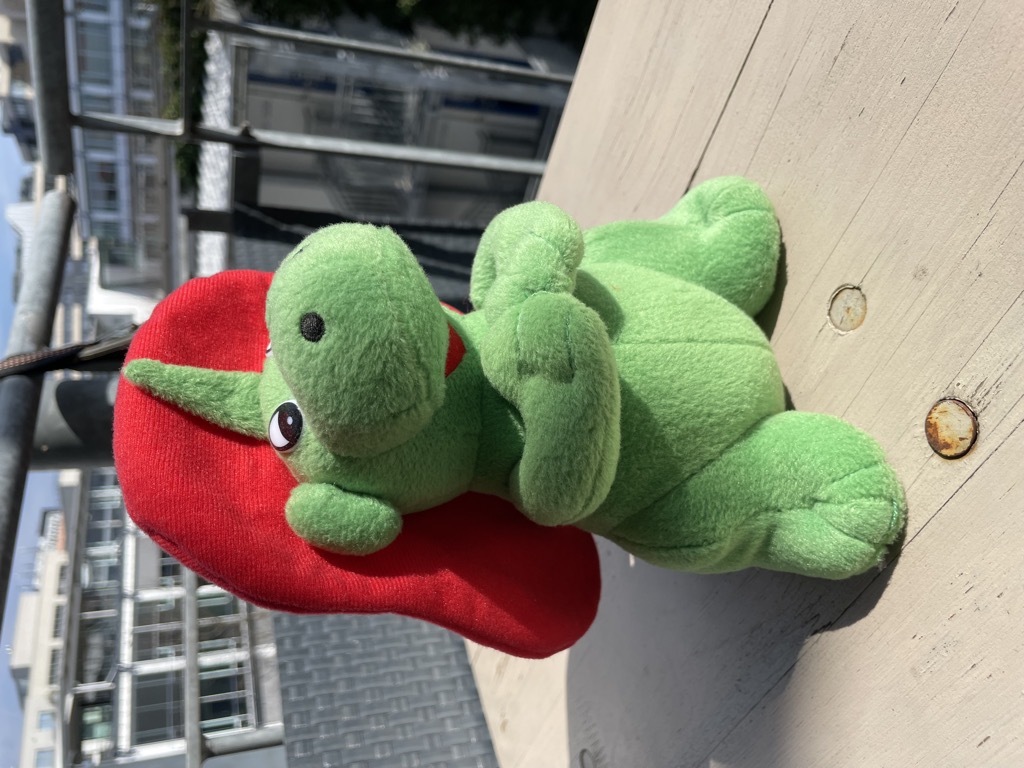 Kuscheltiere