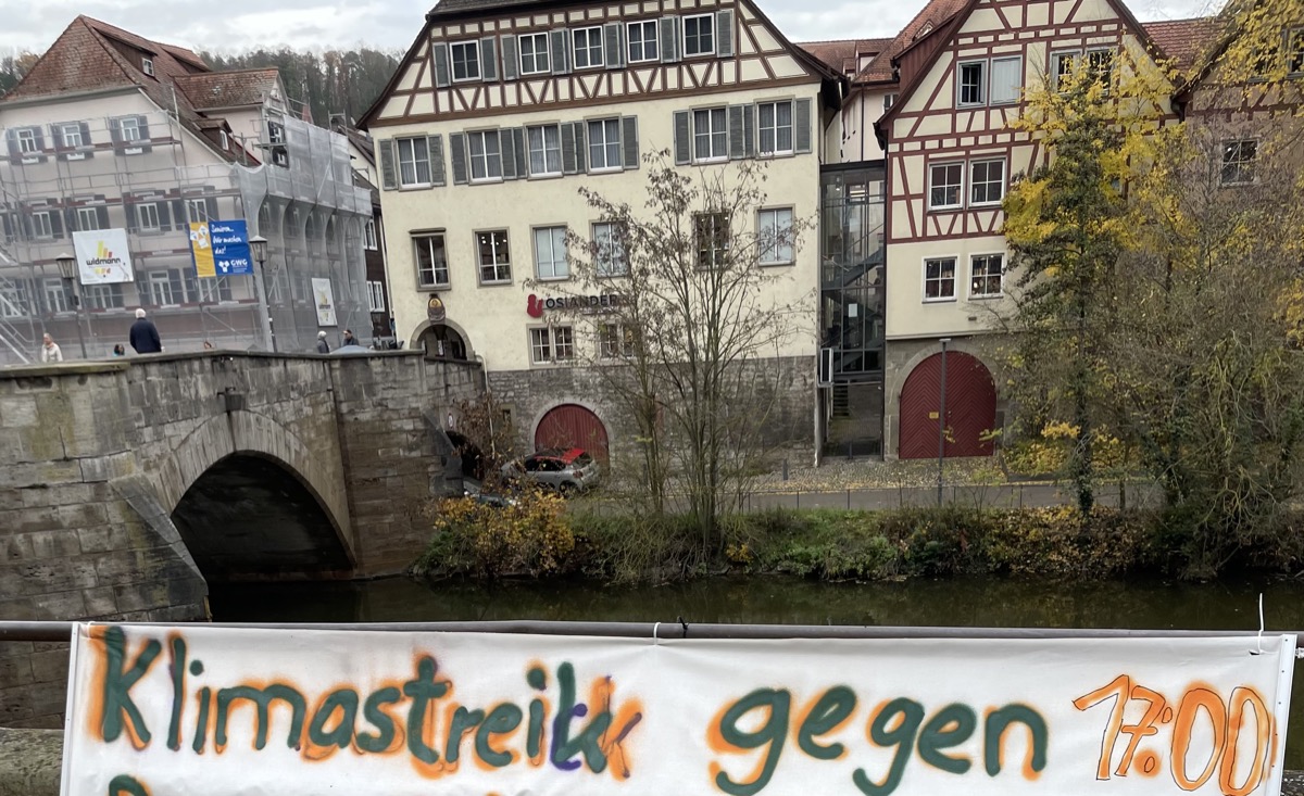 IMG_5134.jpeg
