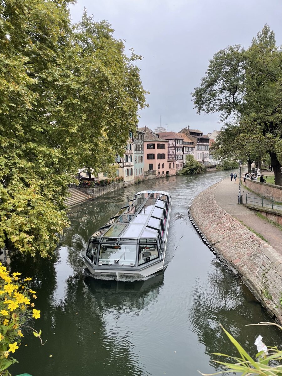 IMG_4689.jpeg