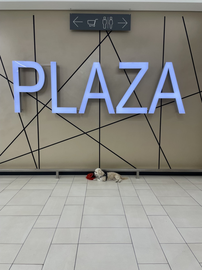 Wir m&uuml;ssen leider draussen bleiben (1)