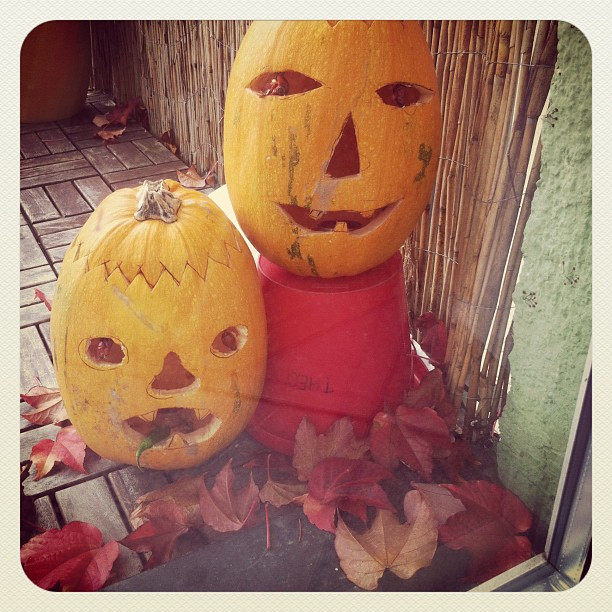Foto 06.11.2011
