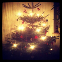 Ein Ohtannenbaum