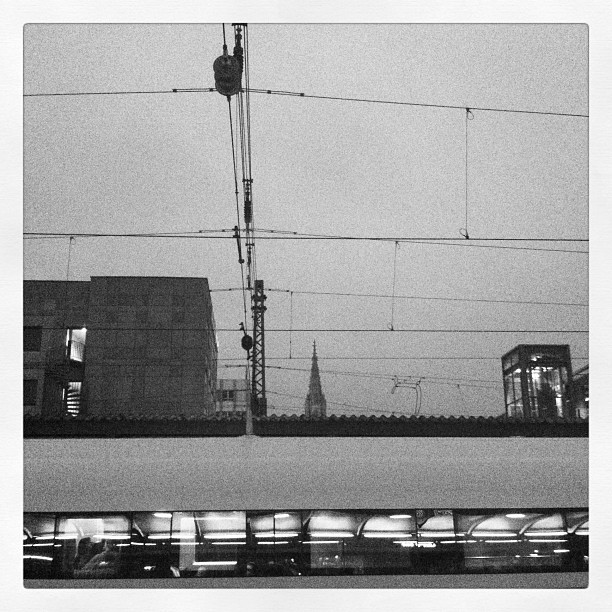 Foto 11.12.2011