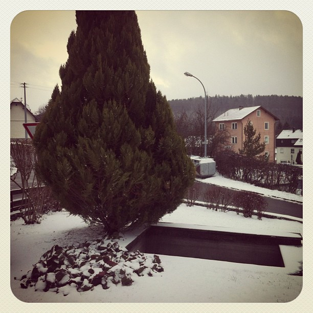 Foto 17.12.2011