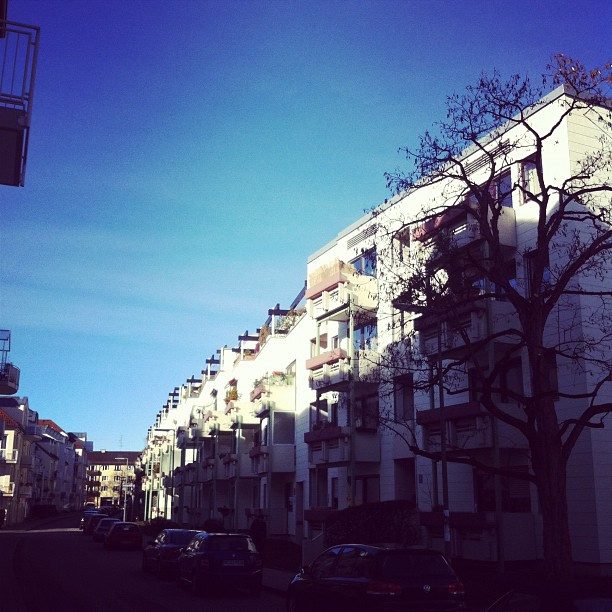 Foto 03.01.2012