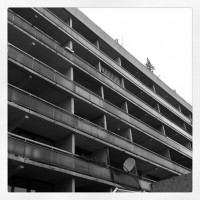 Foto 13.01.2012