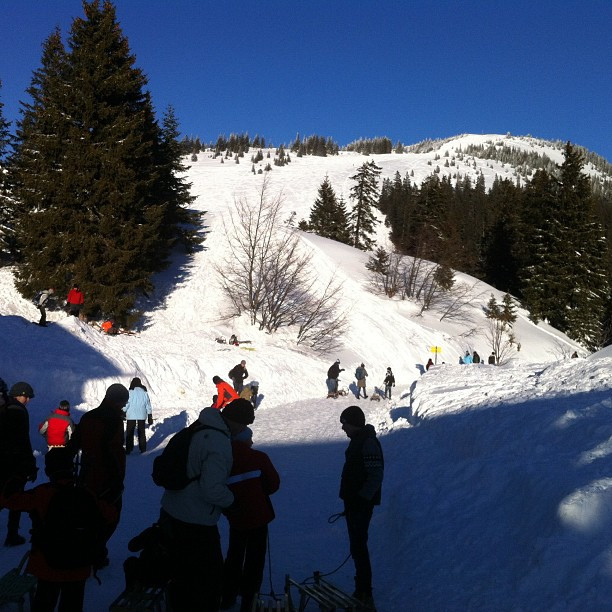 Foto 15.01.2012