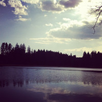 Foto 19.03.2012