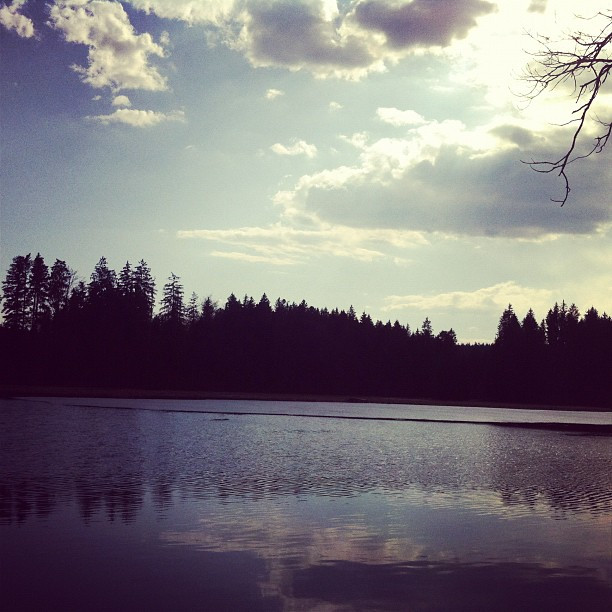 Foto 19.03.2012