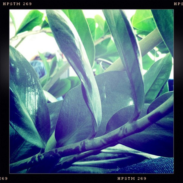 Foto 03.04.2012