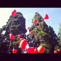 ... in the air.