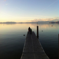 🎶 I love Lake Tahoe 🎶