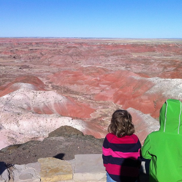 Petrified Forrester National Monument