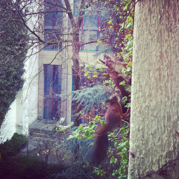 Der Nachbar hat Nachwuchs bekommen.