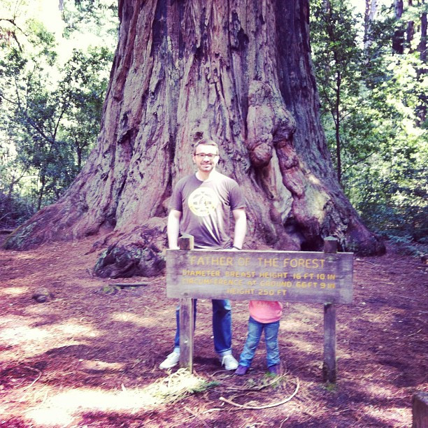 Father of the Forest