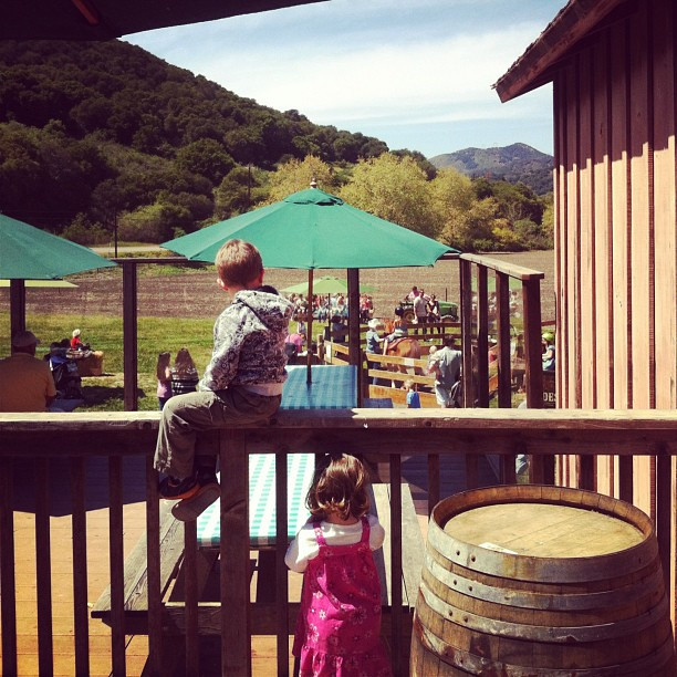 Ponywatching @Avila Valley Barn.