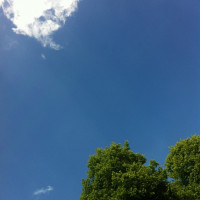 Postwiese