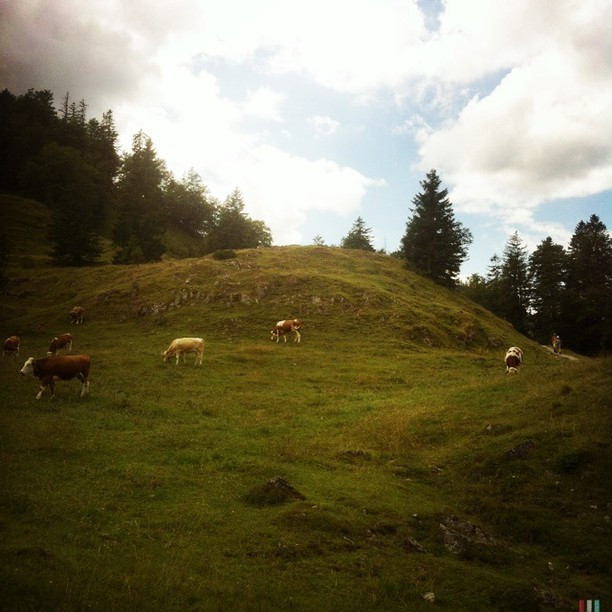 Gei&szlig;alm
