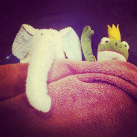 Best Friends