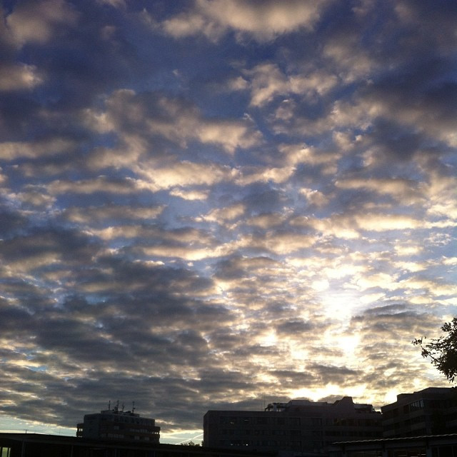 Moin M&uuml;nchen