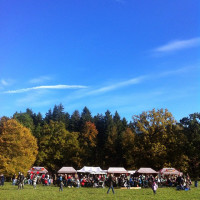 Perlacher Forst