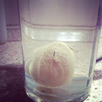 Wann schl&uuml;pft der Dino?