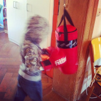 Der Champ trainiert