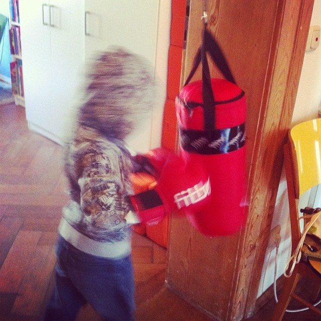 Der Champ trainiert