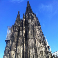 Dom