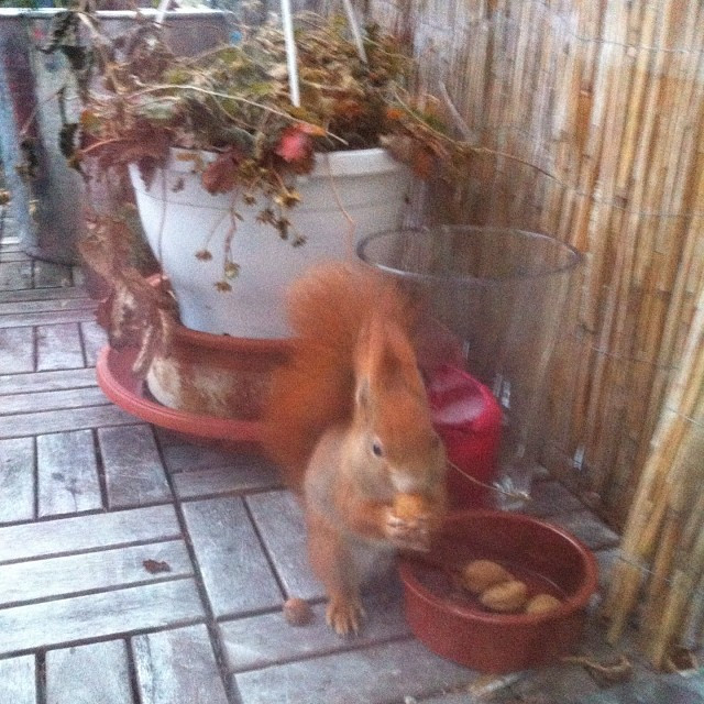 Foto 05.01.2014